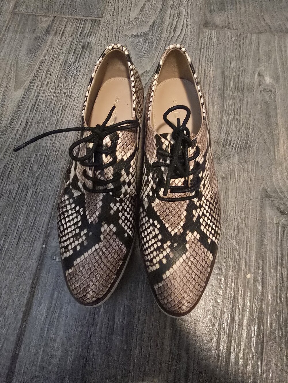 Aldo Men's Snake-Print Oxford in Brown and Black